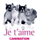 Nuit D'amour